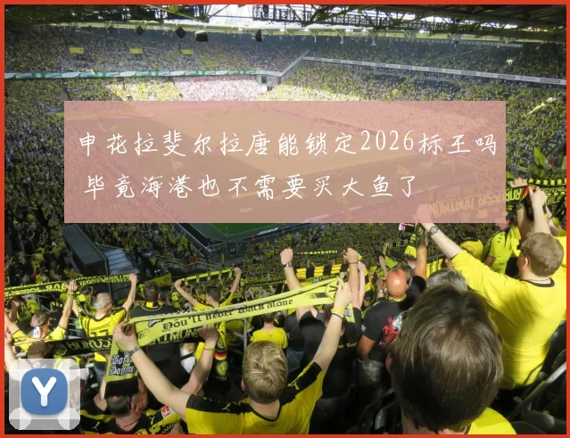 申花拉斐尔拉唐能锁定2026标王吗 毕竟海港也不需要买大鱼了