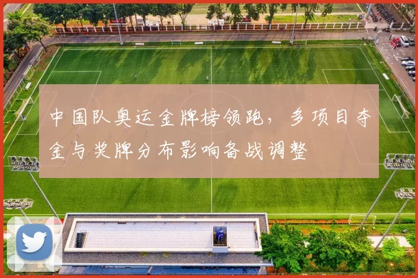 中国队奥运金牌榜领跑，多项目夺金与奖牌分布影响备战调整